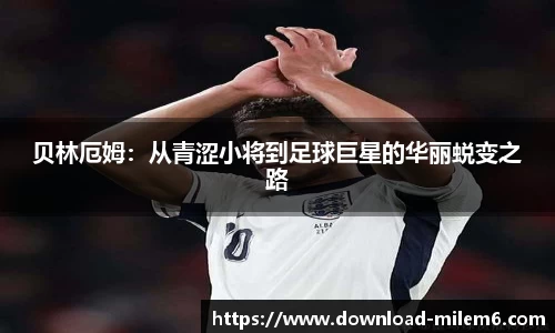 米乐M6
