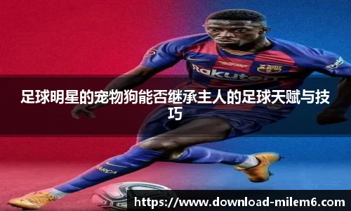 米乐体育官方网站